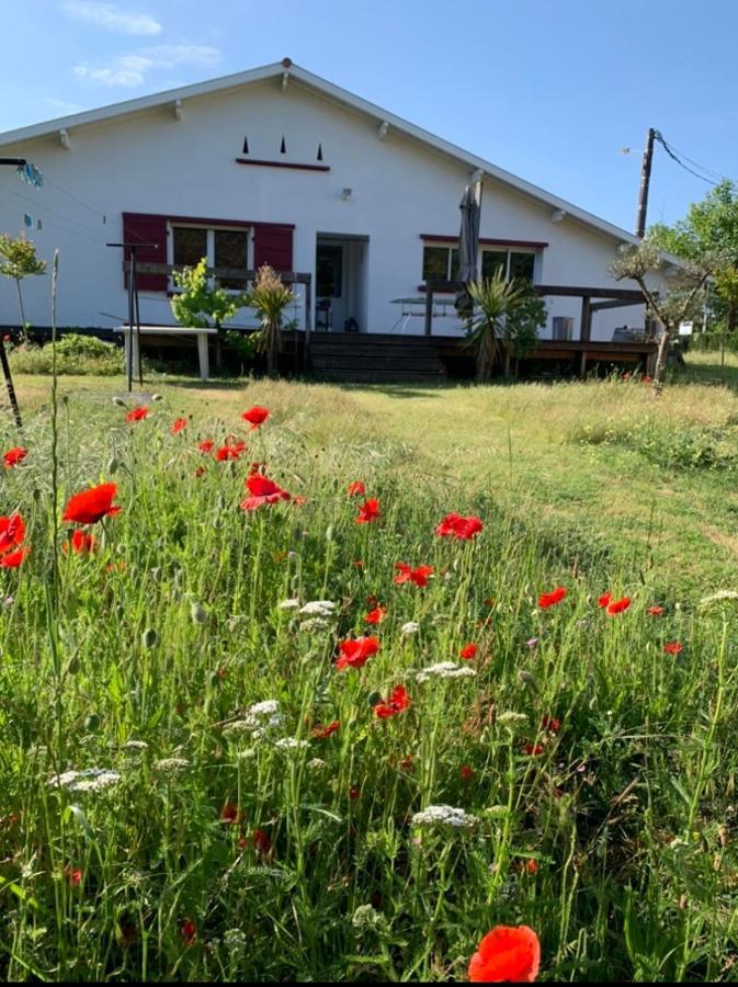 Location Maison Pontenx-les-Forges Bagian luar foto